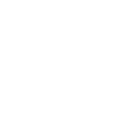 13MIS
